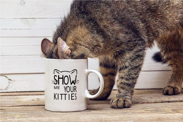 Show Me Your Kitties Coffee Mug Funny Cat Lover Gift for Cat Mom Women Friend Coworker