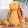 Shy Bunny Plush Toy Soft Floppy-Ear Gift for Girls