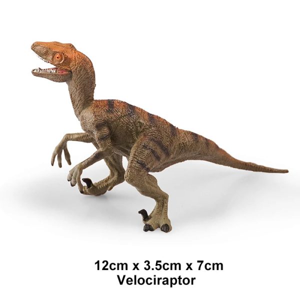Simulation Jurassic Dinosaur Action Figures