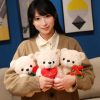 Sitting Bear Plush Toy with Heart Gift for Her
