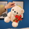 Sitting Bear Plush Toy with Heart Gift for Her