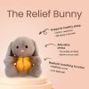 Sleepy Bunny Plush Toy