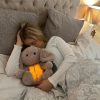 Sleepy Bunny Plush Toy