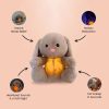 Sleepy Bunny Plush Toy