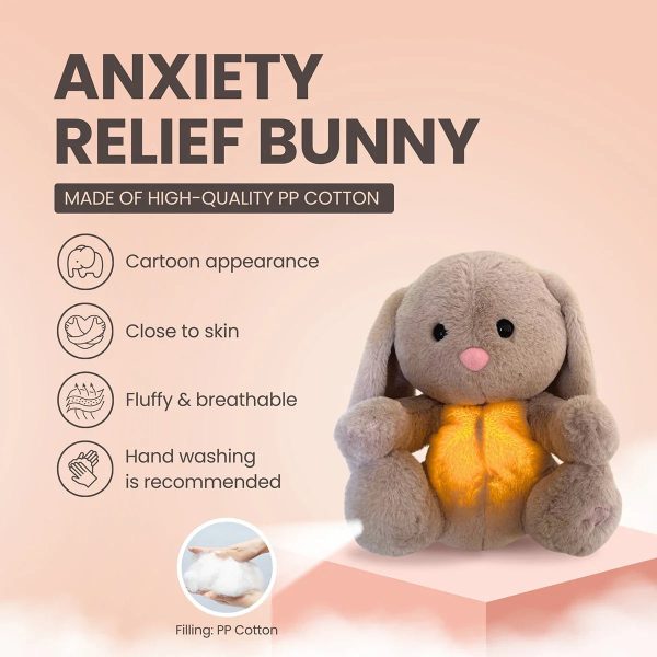Sleepy Bunny Plush Toy