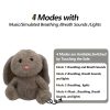 Sleepy Bunny Plush Toy