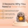 Sleepy Bunny Plush Toy