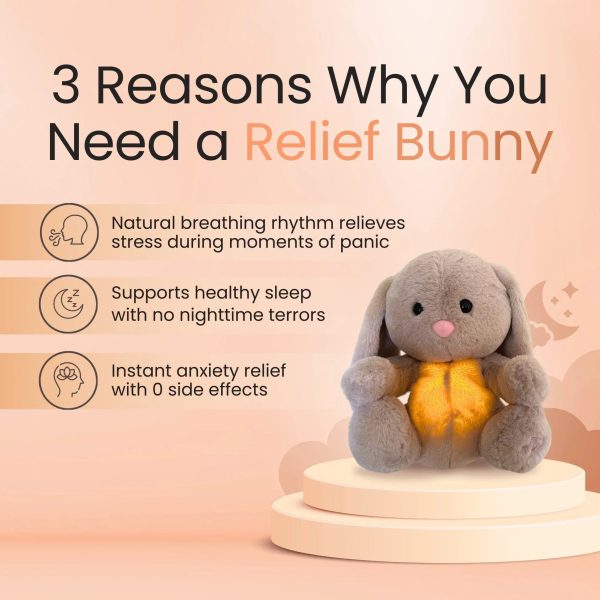 Sleepy Bunny Plush Toy