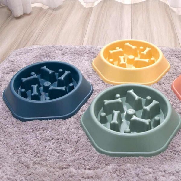 Slow Feeder Bowl