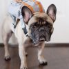 Small Dog Backpack Harness