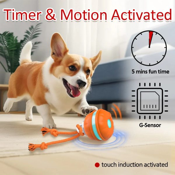 Smart Interactive Dog Toy Ball - Motion Activated Chew Toy
