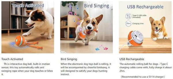 Smart Interactive Dog Toy Ball - Motion Activated Chew Toy