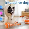 Smart Interactive Dog Toy Ball - Motion Activated Chew Toy