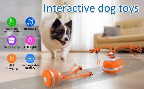 Smart Interactive Dog Toy Ball - Motion Activated Chew Toy