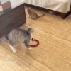 Smart Sensing Tricky Snake Toy