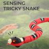Smart Sensing Tricky Snake Toy