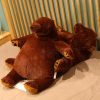 Soft Brown Teddy Bear Plush Pillow 40cm