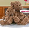 Soft Cuddle Teddy Bear Plush Pillow