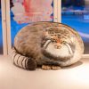 Soft Plush Stuffed Animal Cat Doll Toy