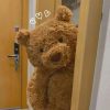 Soothing Teddy Bear Plush Pillow