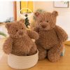 Soothing Teddy Bear Plush Pillow