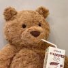 Soothing Teddy Bear Plush Pillow