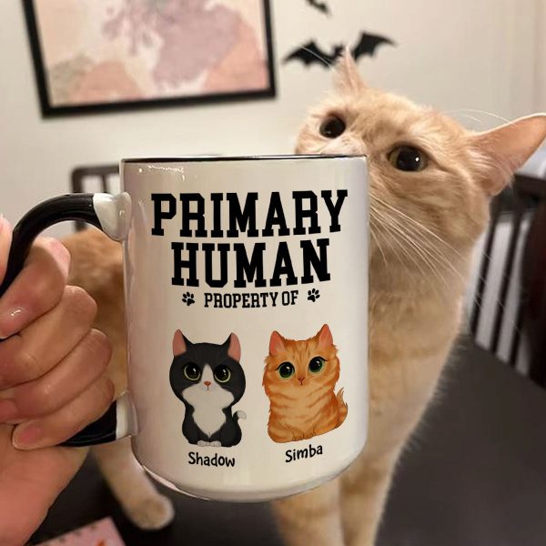 Spare Human Primary Human Funny Gift For Dog Lover or Cat Lover Personalized Mug