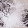 Sparkly Rhinestone Fishnet Feather Sleeve Long Sleeve Sheer Mini Dress - White