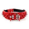 Spiked Leather Dog Collar