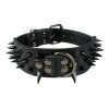 Spiked Leather Dog Collar