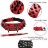 Spiked Leather Dog Collar