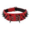 Spiked Leather Dog Collar