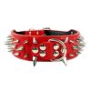 Spiked Leather Dog Collar