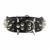 Spiked Leather Dog Collar
