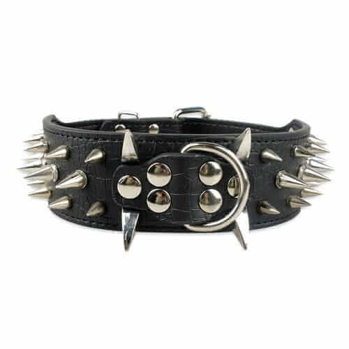Spiked Leather Dog Collar