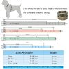 Spiked Studded Dog Collar with Traction Rope Adjustable Fit