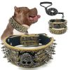 Spiked Studded Dog Collar with Traction Rope Adjustable Fit