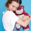 Strawberry Teddy Bear Plush Toy 25cm