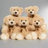 Stuffed Bear Plush Toy Set