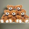 Stuffed Bear Plush Toy Set