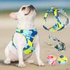 Summer Vibes Dog Harness & Leash Bundle