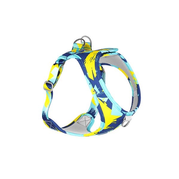 Summer Vibes Dog Harness & Leash Bundle