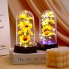 Sunflower Light