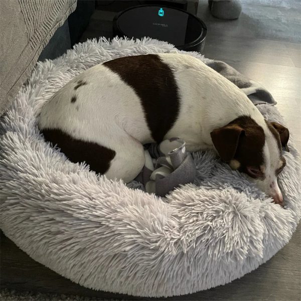 Super Soft Long Plush Dog Bed