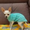 Sweater for Small Dogs