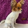 Sweater for Small Dogs