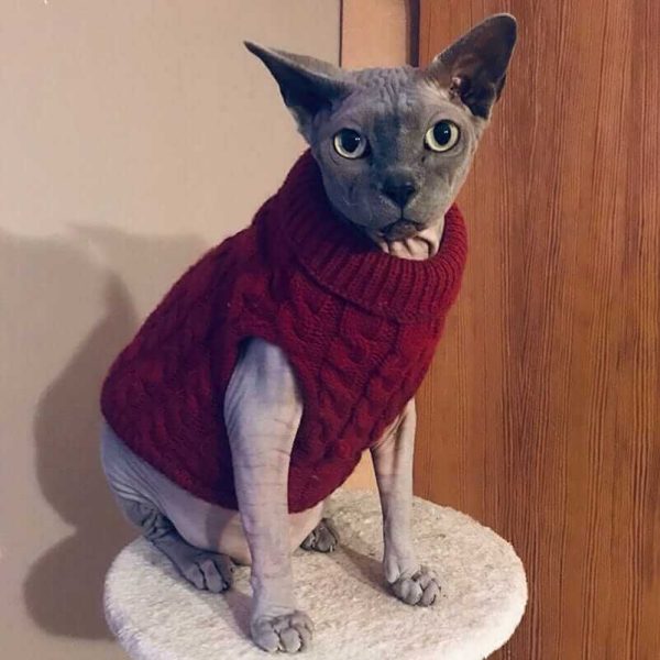 Sweater for Small Dogs