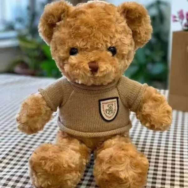 Sweater Teddy Bear Plush 30 cm