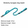Tactical Dog Collar & Leash