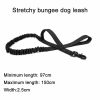 Tactical Dog Collar & Leash